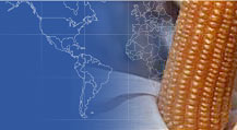 Food Traders, Argentine Exports, Exportadores de Alimentos,Trigo, Corn - Maize, Soybeans, Beans,Crude Soybean Oil, Crude Sunflower Oil, Refined bottled Soybean Oil, Refined Bottled Sunflower Oil, Feedstuffs, Soybean meal, Alimentos para Animales - Proteinas, Aceites vegetales Crudos, Aceites vegetales Refinados y Envasados, Trigo, Maiz, Harina de Soja, Legumbres Secas