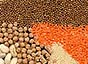 Pulses