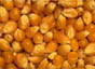 Pop corn