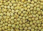 Soybeans